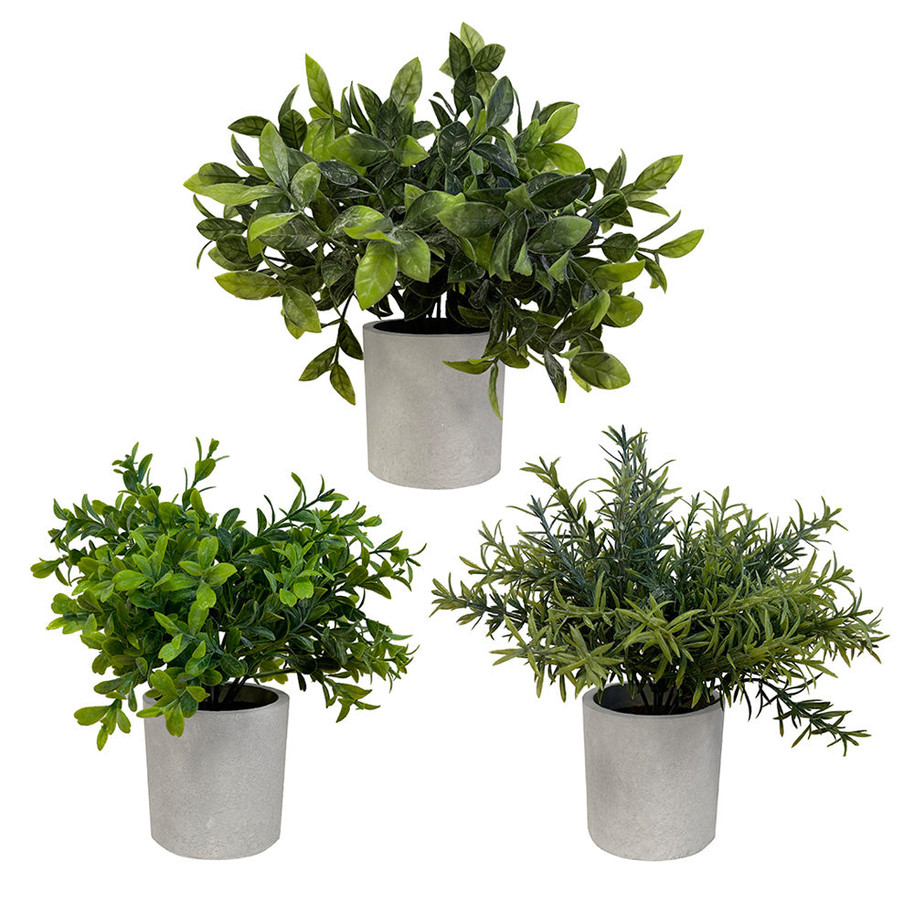 Set de 3 plantes artificielles, pot gris, taille 20 cm