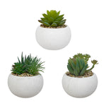 Charger l&#39;image dans la galerie, Set de 3 plantes artificielles, pot blanc, taille 11 cm
