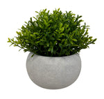 Charger l&#39;image dans la galerie, Set de 3 plantes artificielles, pot gris, taille 11 cm
