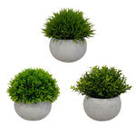 Charger l&#39;image dans la galerie, Set de 3 plantes artificielles, pot gris, taille 11 cm
