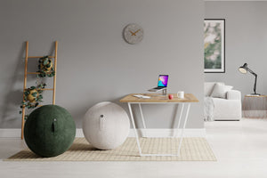 image home page siège ballon ergonomique screencare desktop